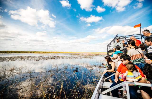 Passengers get an up-close look at an alligator on an airboat ride through Sawgrass Recreation Park.