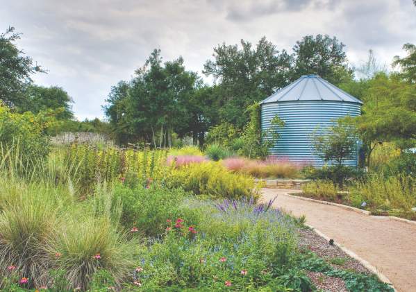 natural Texas garden at the Lady Bird Johnson Wildflower Center