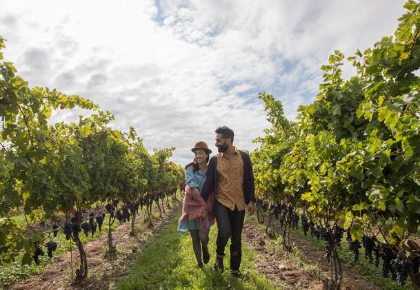 Niagara Wine Country: No Repeats