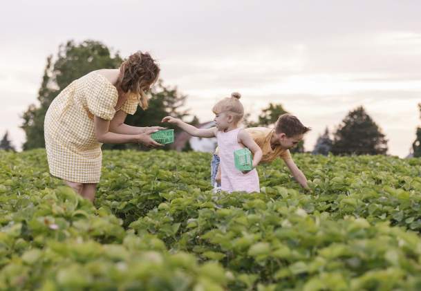 Niagara Benchlands Farm-To-Table 411