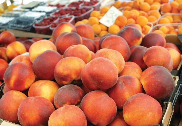 Niagara Fruit Stands