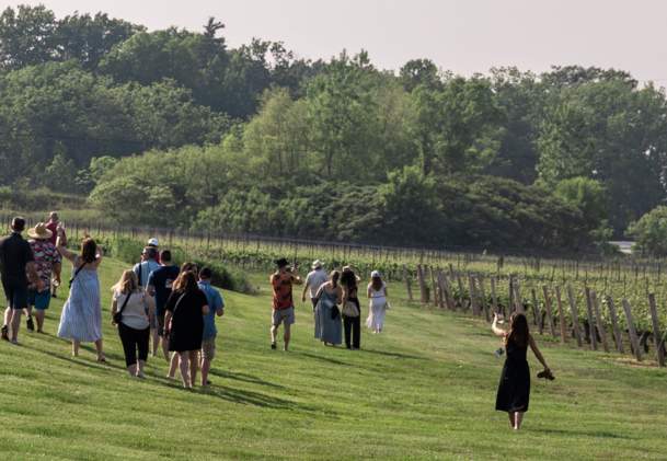 Niagara's Top Festivals and Events for Wine & Food Lovers