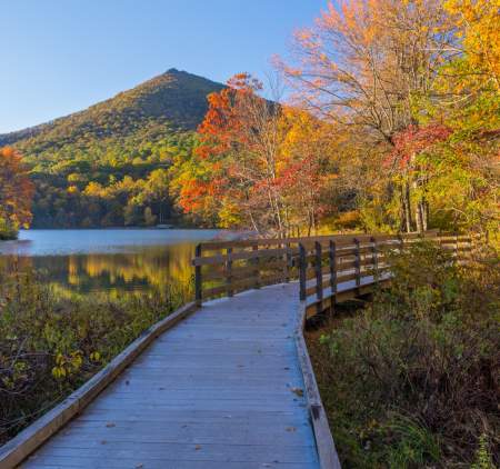 Foliage forecast: What's helping, hurting our chances of seeing bright  colors this autumn