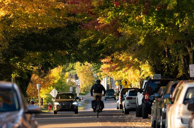 Lake Street in the Fall