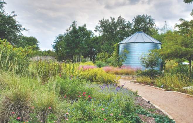 natural Texas garden at the Lady Bird Johnson Wildflower Center