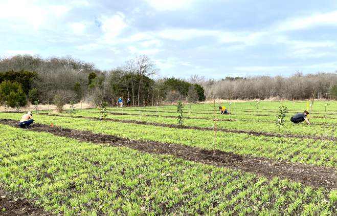 Urban Roots farm in southeast Austin Texas