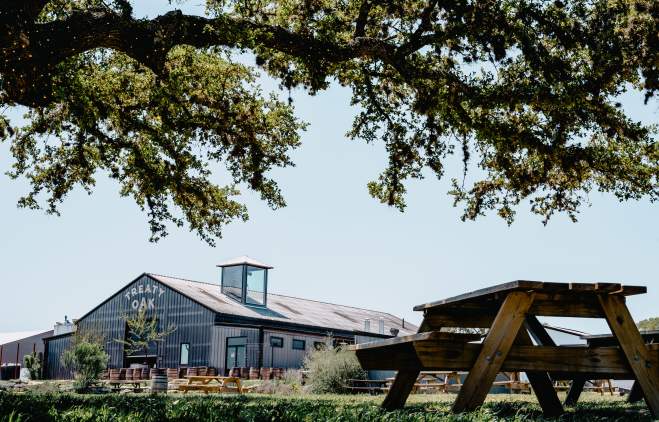 picnic table under shady tree at Treaty Oak Distilling near Austin Texas