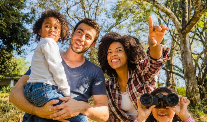 Family Friendly Things To Do