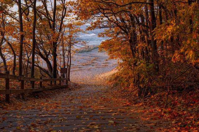 A leaf-strewn stone path winds through a tunnel of orange and gold autumn trees toward a quiet lake, creating a peaceful, inviting mood.