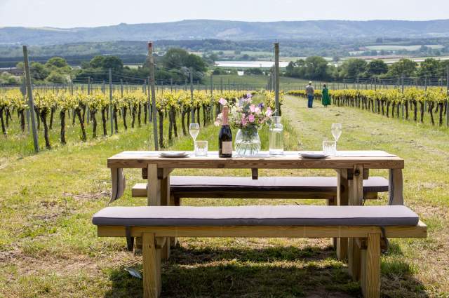 A bottle of English sparkling wine and flowers on a picnic bench at Roebuck Estate vineyard, with vines in the distance