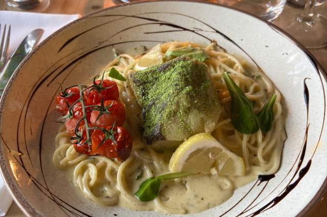 Fox Goes Free Pasta dish