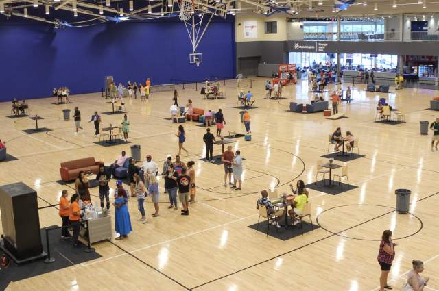 Mimosa Fest Overview