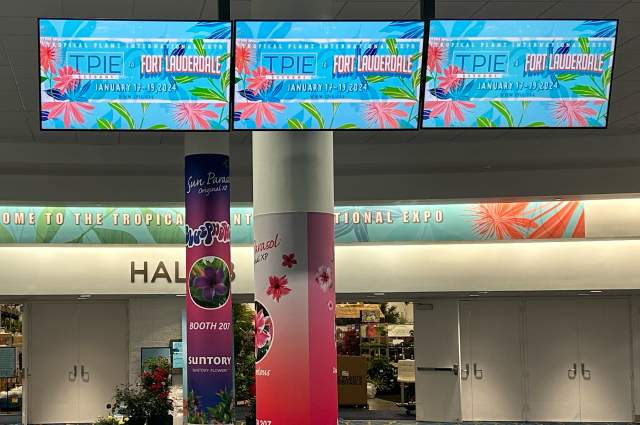 Hall B Screens
