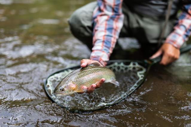 Fishing - Tuck Fly Shop