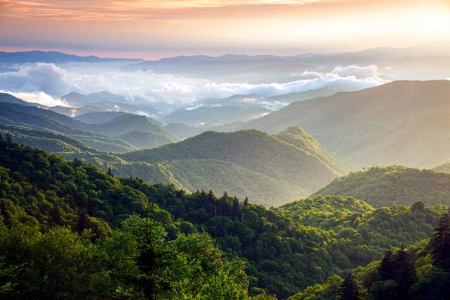 Woolyback Overlook