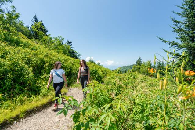 Trails Slider - Waterrock Knob