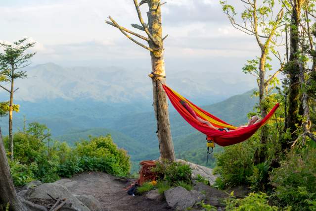 Take a Hike
