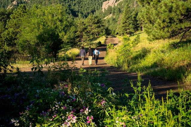 Group hiking with wildflowers at Chautauqua with Flatirons
