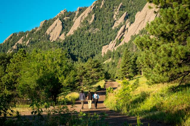Group hiking with wildflowers at Chautauqua with Flatirons