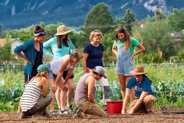 Growing Gardens Team Volunteering