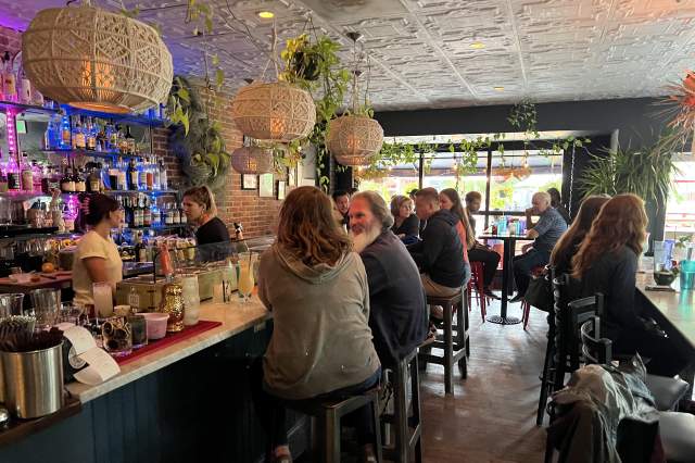 Jungle Bar