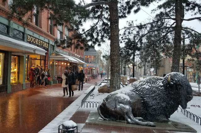Winter in Front of Boulder Book Store with Buffalo Sculpture