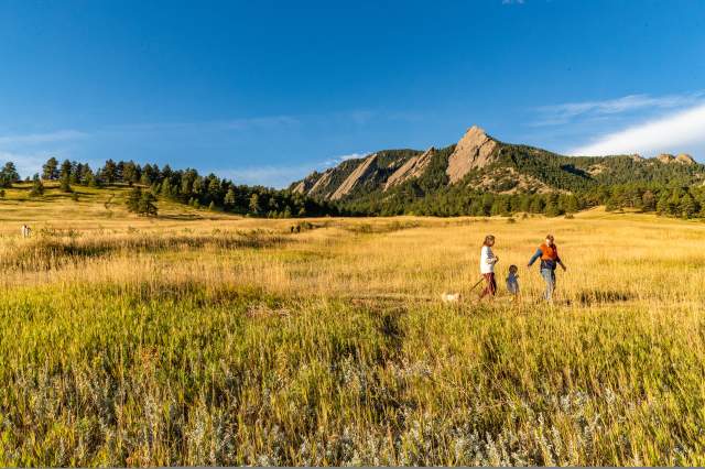 Family hikes on a trail through tall yellow grasses in front of Boulder's Flatirons