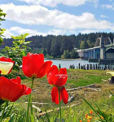 Bridge with flowers