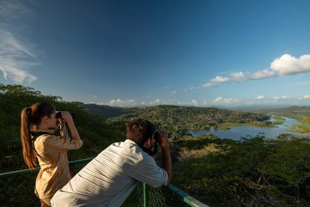 Tour operator at Birdwatching tower in Gamboa Rainforest Reserve, Panama City