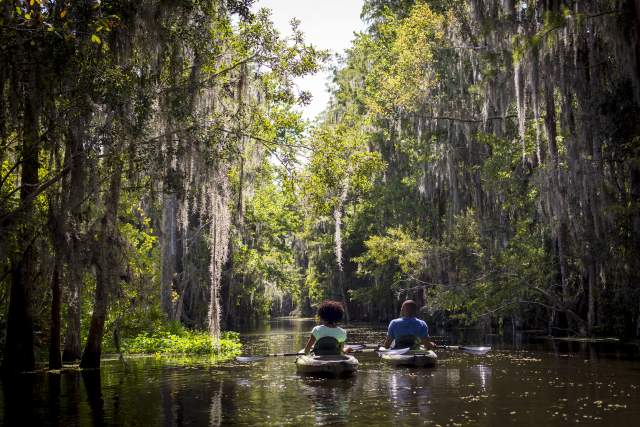 The Ritz-Carlton Orlando, Grande Lakes eco-tour by kayak
