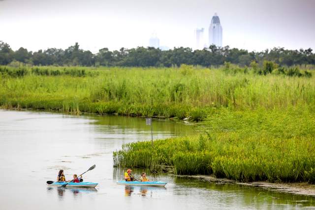 People Enjoying 5 Rivers Kayak Tour In Mobile, AL
