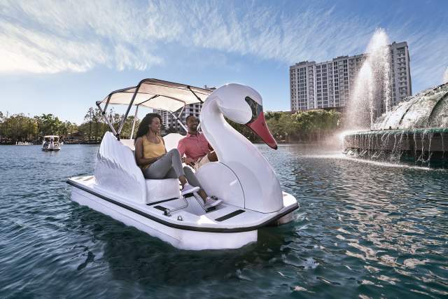 A couple exploring Lake Eola on a swan boat