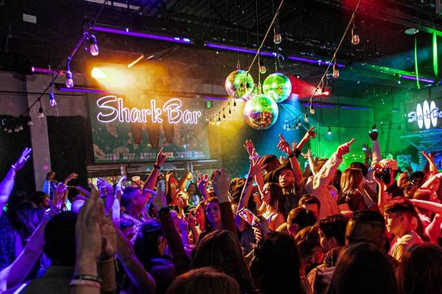 201462 - Shark Bar