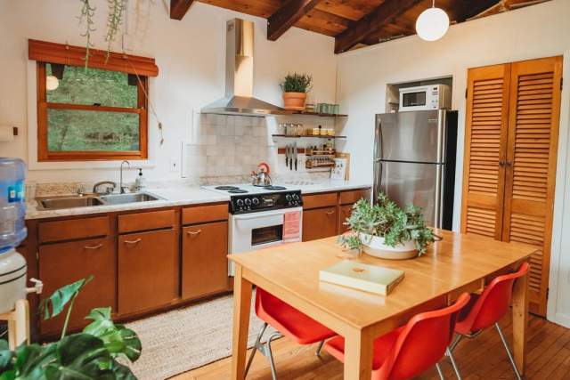 Interior of a kitchen in a wood cabin with four red, plastic dining chairs at a table with plants placed throughout.