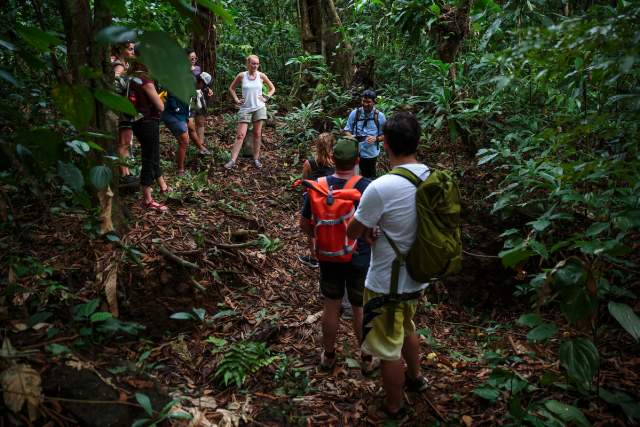 Hikers exploring Metropolitan National Park trails