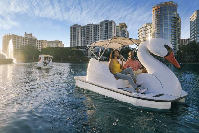 A couple exploring Lake Eola on a swan boat