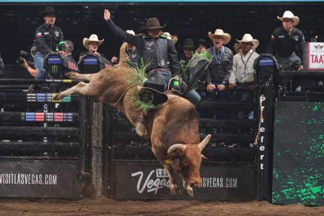 Man bull riding a bucking bull while team mates and coaches cheer on the sideline behind a gate.
