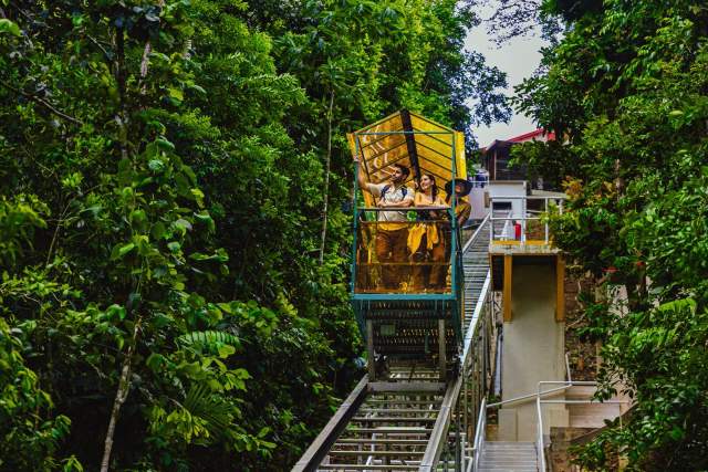 Tourists on a cable car surrounded by tropical rainforest in Barro Colorado, Panama