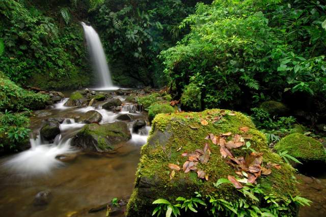 Waterfall surrounded by exuberant greenery at Santa Fe, Veraguas