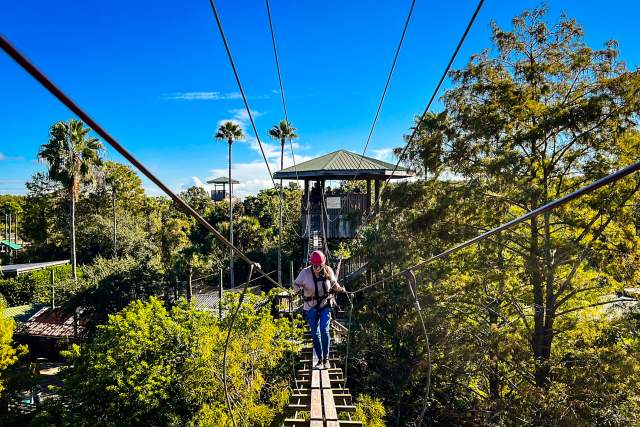 Gatorland zipline adventure
