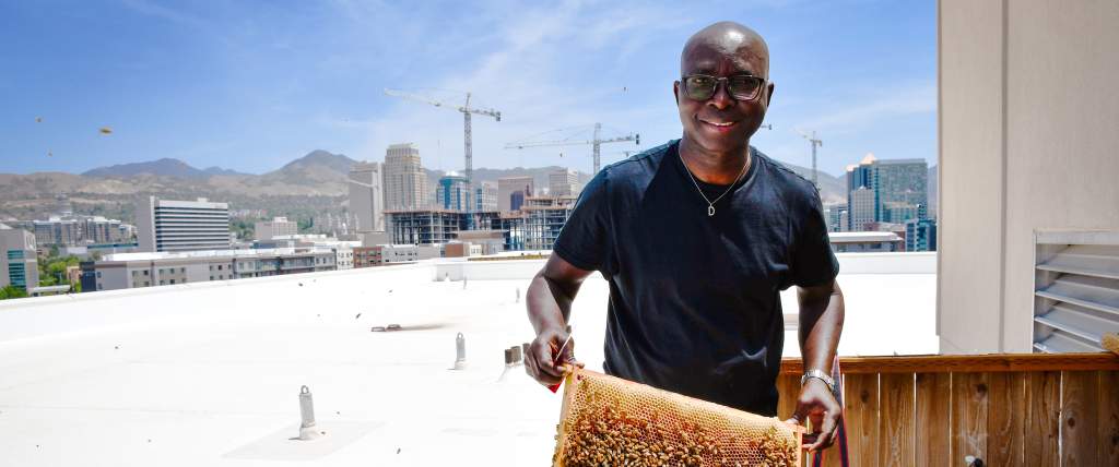 Adesina Daniel Oduntan - Bee-Craft Consult