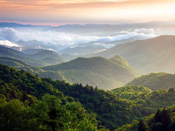 Woolyback Overlook