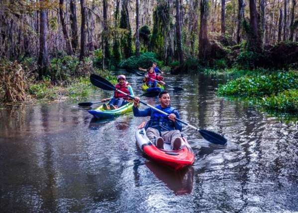 Kayaking Honey Island Swamp with Cajun Encounters Tour Co. in Slidell