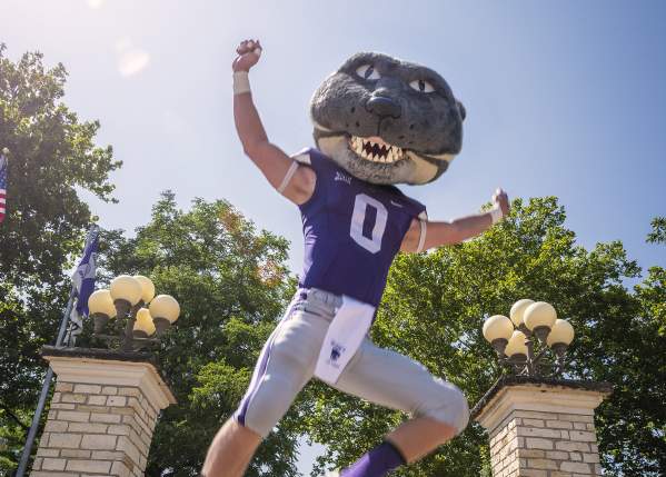 KSU mascot