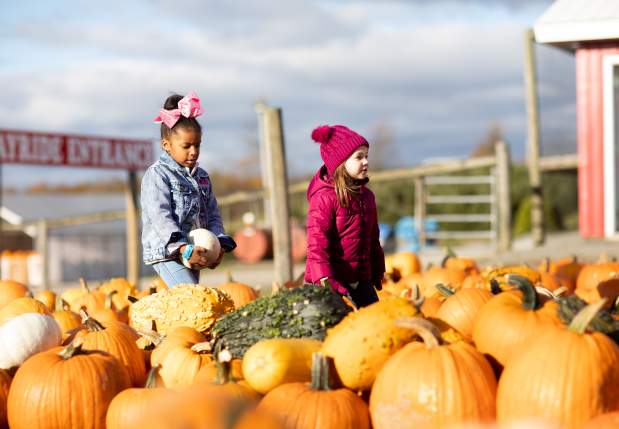 Roba Family Farms
