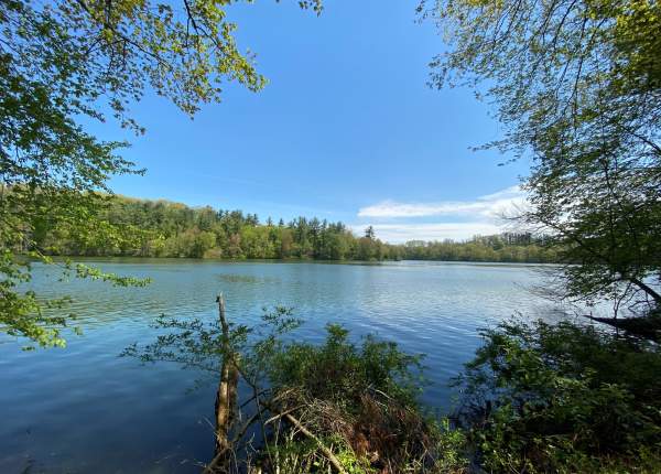 William Kain County Park