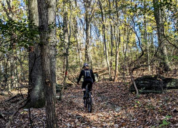 Person riding mountain bike through fall forest
