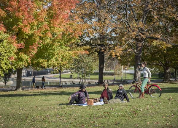 people having a picnic in the park in the fall