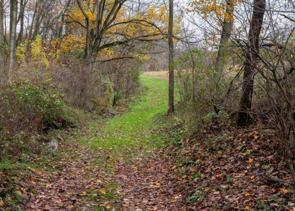 P. Joseph Raab Park