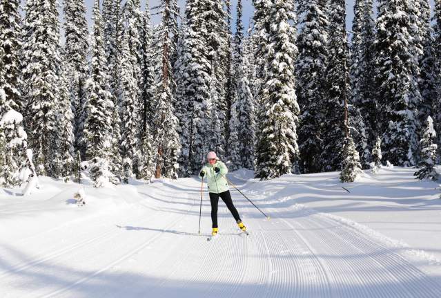 Nordic skiing through Big White in Kelowna is an experience like no other. Come feel the snow beneath your skis and the crisp wind on your face.